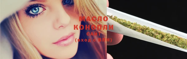 гашик Павлово
