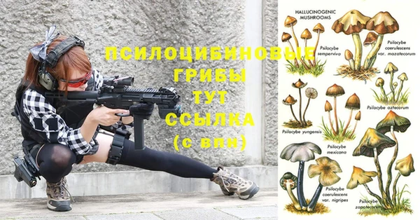 МДМА Павловск