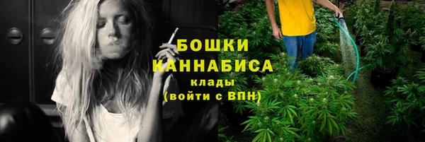 дживик Липки