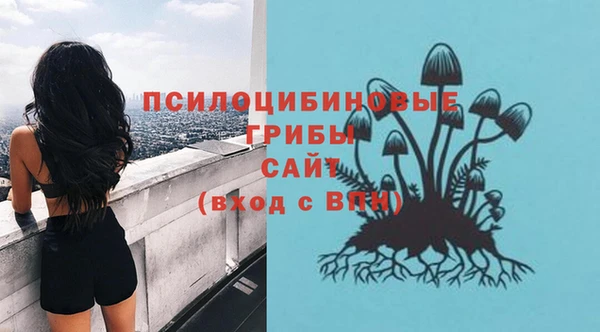 МДМА Павловск