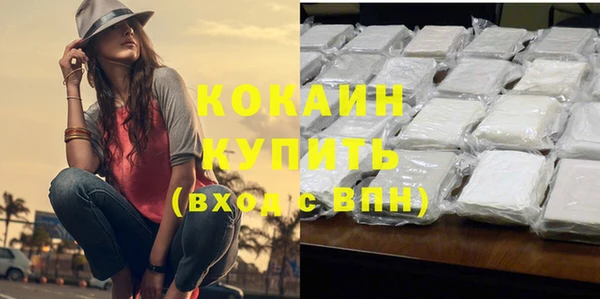 гашик Павлово