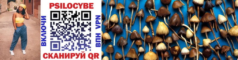 МЕГА ONION  цены наркотик  Усть-Катав  Псилоцибиновые грибы Psilocybine cubensis 
